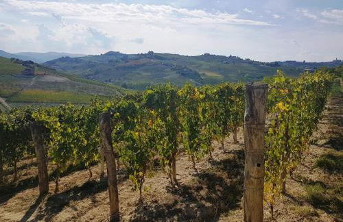 Agriturismo Vecchio Torchio - Foto 25