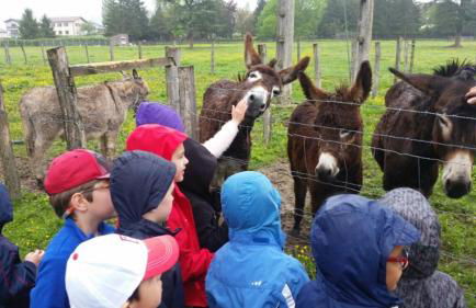 Casa Artorena, acogedora casa rural en pleno corazón del valle de la Ultzama - Foto 53
