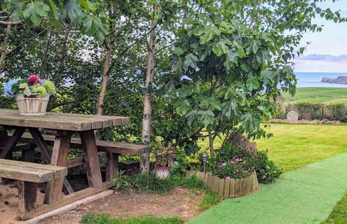 La Mar de Bonita - Foto 38