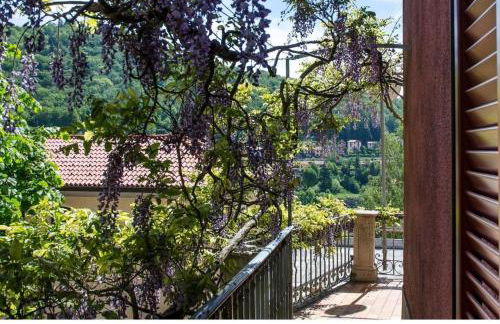 WISTERIA HOUSE - Foto 35