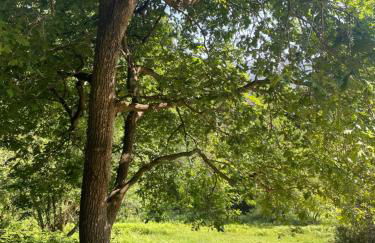 San Bartolomé Etxola - Foto 2