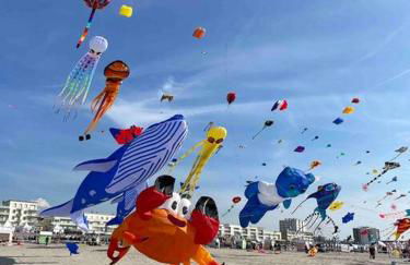 Belle maison berckoise rénovée - LM la plage - Foto 28