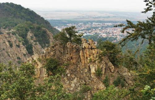 Nature Escape in Meisdorf - Foto 29