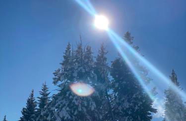 Villa Silvia - Photo 42