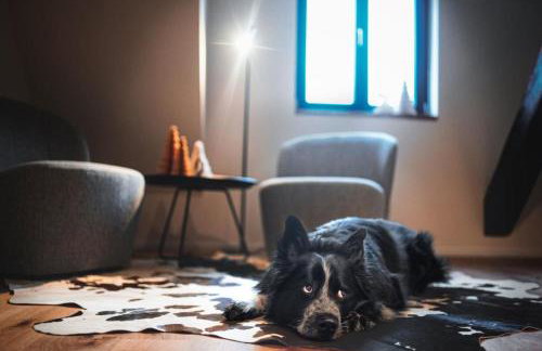 Ferienhaus Gersmühle - Foto 20