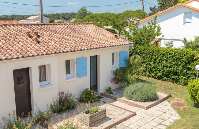 Les Palatines - Foto 18