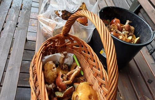 Domek u Bartnika z basenem na Mazurach - Foto 16