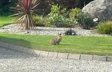 Forest Path Apartment Quiet Countryside Retreat with Sauna, Sleeps 4 - Foto 17