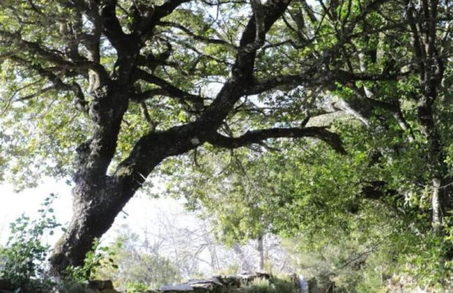 Comfortable Holiday Home With Shared Sauna - Foto 20