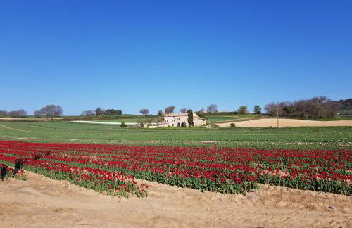 Grange Voutée avec jardin - Foto 19