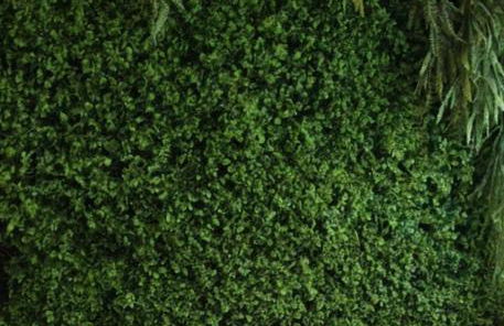 Casa ampla Praia da Costa - Centro 500 mts da Praia - Foto 43