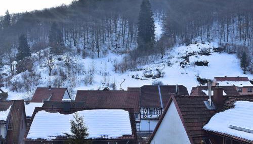 Gemütliche Ferienwohnung bei Braunlage - Foto 3