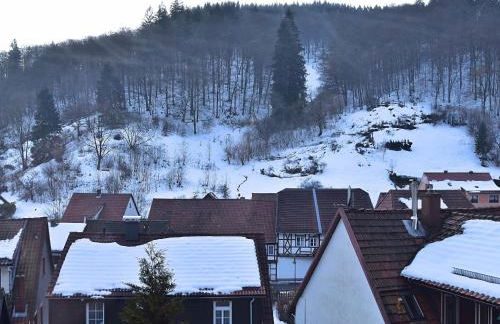 Gemütliche Ferienwohnung bei Braunlage - Foto 3