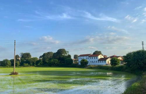 Cascina Mora Bassa - Photo 7