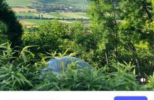 Le Coq de Champagne - Foto 8