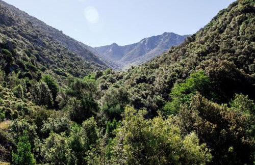 L' Elicriso - Photo 8