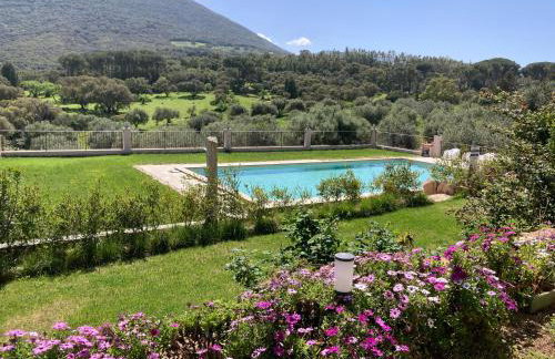 Agriturismo Is Conchisceddas - Foto 2