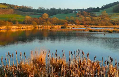 Aeron Villa - Photo 34