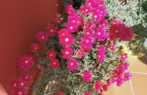 Casa de Sunny - Foto 15