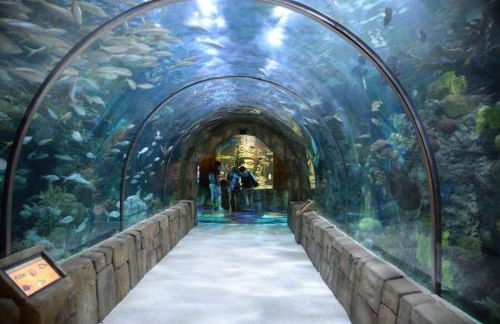 Roami at Motorworks - Foto 68