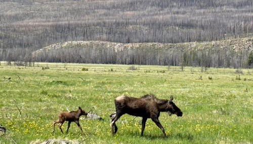 Stylish Grand Lake Retreat - King Bed - Walk to Lake - Foto 4