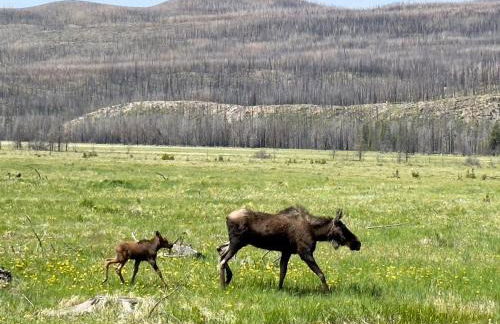 Stylish Grand Lake Retreat - King Bed - Walk to Lake - Foto 4