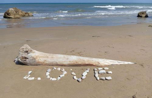 Les Petites Maisons - Foto 66