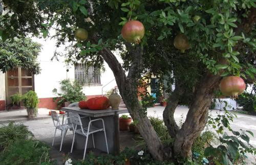 Mas Cabrit - Foto 20