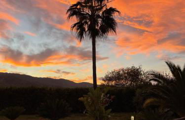 Villa Blanche - Foto 11