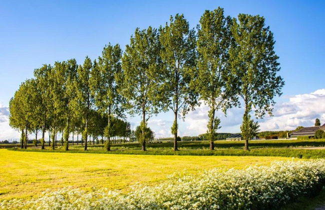 Getaway With Garden in Gelderland - Foto 42