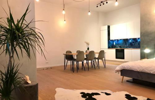 Designer open plan apartment Friedrichshain - Foto 10