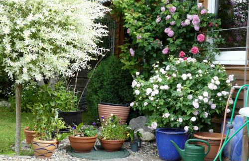 4-Sterne Ferienhaus Rösslewiese Hinterzarten - Foto 21