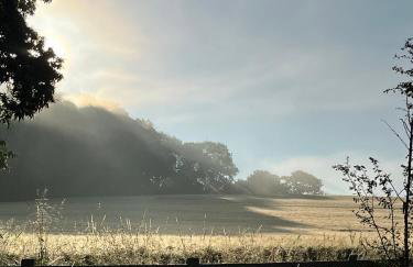 Historic 3-Bed Cottage with Garden in Hursley - Foto 41