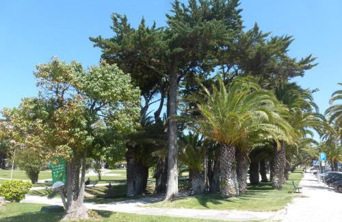 Cascais-Estoril BEACHFRONT Apartments - Foto 75