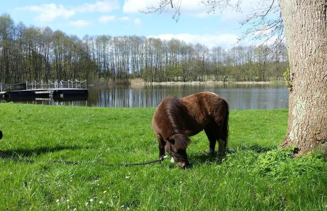 Chalet in Wendorf - Foto 32