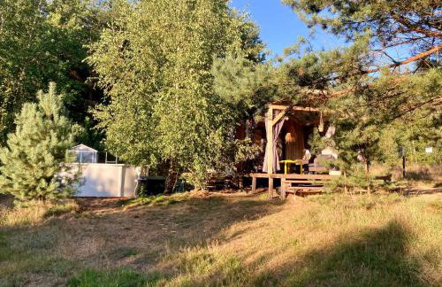 Przystanek Naglady Warmia- całoroczny, duża leśna działka - Foto 37