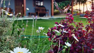 Sítio por do Sol - Pedra Azul - ES - Foto 5