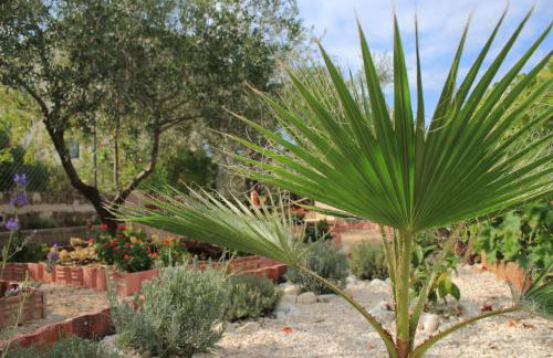 Apartments by the sea Lukoran (Ugljan) - 836 - Foto 12