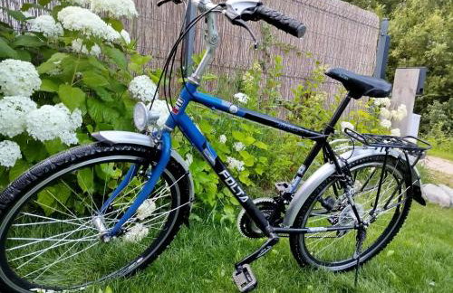 Domek ZOZO nad jeziorem w Okuniowcu - Foto 70