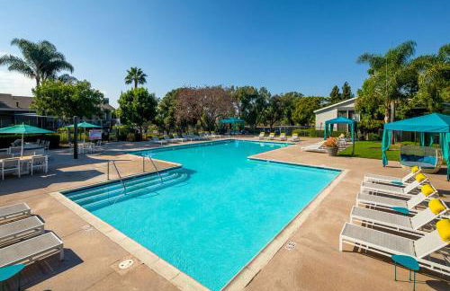 Huge Oceanside Private 2BR Apartment-Pool-Gym-Spa - Photo 15