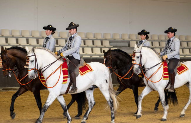 Spectacle équestre à Carmona - Photo 2