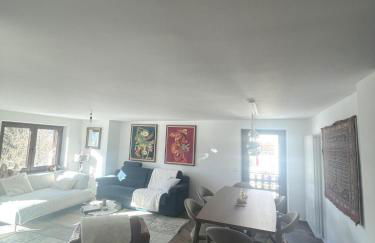 Comfortable and sunny 4 minutes skiing facilities - Foto 17