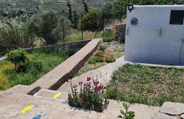 Little Blue - Photo 18