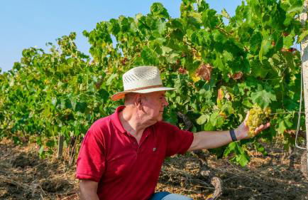 Fattoria Manostalla Villa Chiarelli - Foto 57