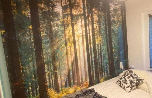 Ruhiger und renovierter Bungalow mit großem hundefreundlichem Garten zur Alleinnutzung - Foto 15