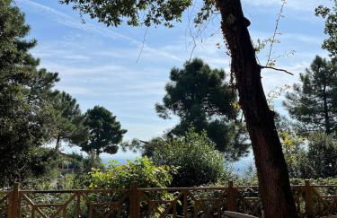 Casa Patoche sur les hauteurs de Saint-Péray - Foto 17