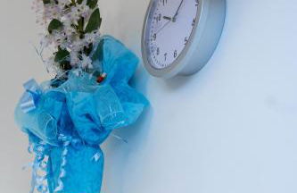 RomAntic Tiny House Aventino - Foto 31