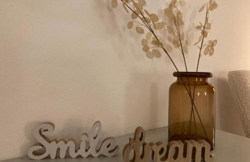 FeWo Ostrau, neues Bad, neue Küche, zentral, Sandstein-Ferien, Terrasse - Foto 11