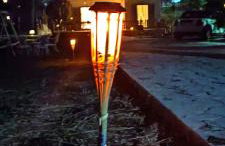 Palm tree house by the beach - Foto 34