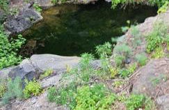 Apartamentos Liudis - Foto 31